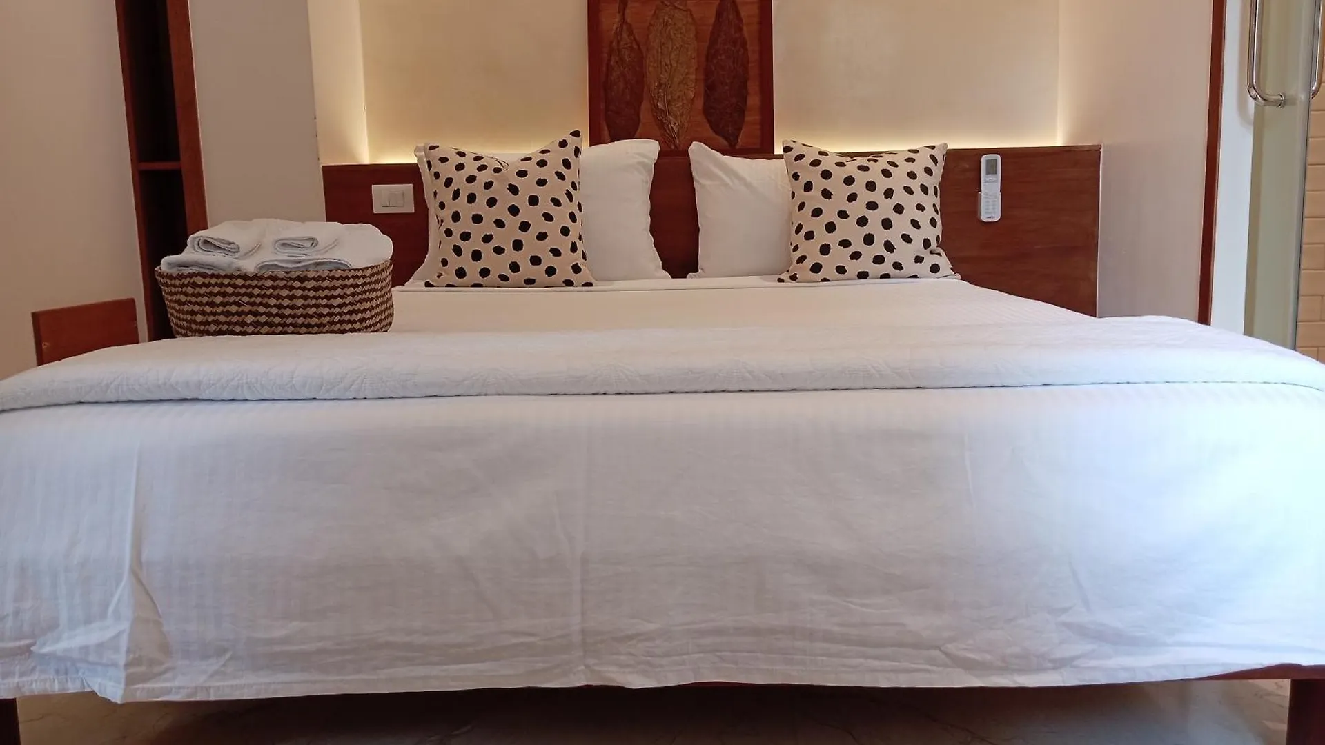 公寓式酒店 Boutique Hotel Casa Grande, Mandala Suite 聖多明哥 多米尼加共和国